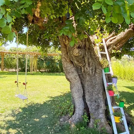 All'ombra Del Carrubo 4* Polignano a Mare