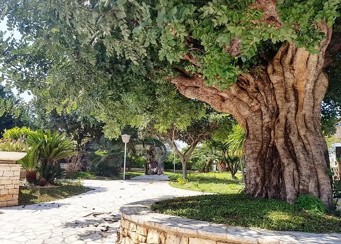 Konukevi All'ombra Del Carrubo