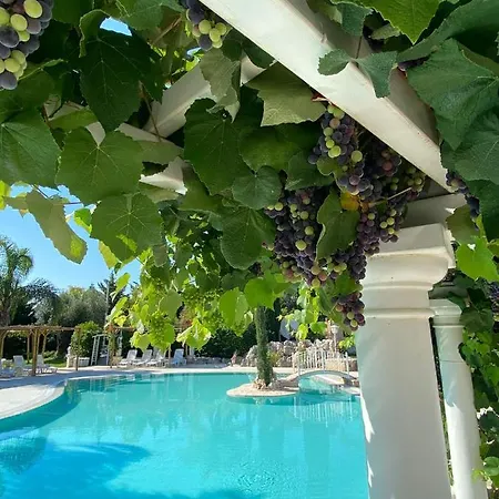 All'ombra Del Carrubo Guest house Polignano a Mare