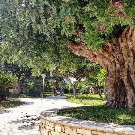 بيت ضيافة All'ombra Del Carrubo